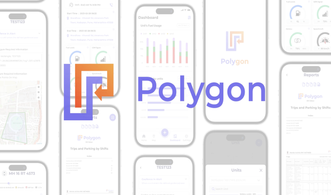 Polygon preview
